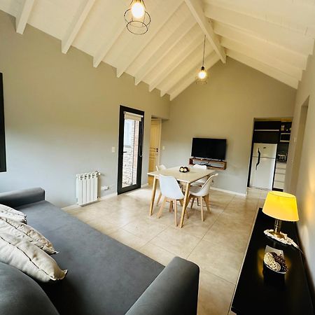 Hermoso Departamento 2 Ambientes Con Balcon! Drury San Martín de los Andes المظهر الخارجي الصورة
